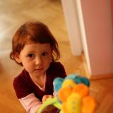 IMG_8810