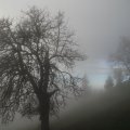 IMG_8935 Nebel am Magdalensberg